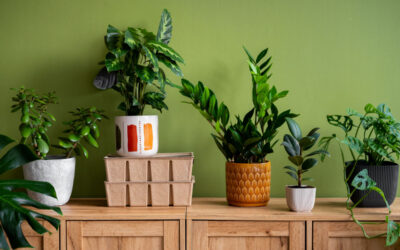 Designing a Home That Feels Good, Not Just Looks Good